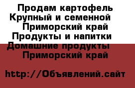 Продам картофель.Крупный и семенной. - Приморский край Продукты и напитки » Домашние продукты   . Приморский край